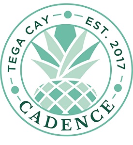 Cadence-Homes-Tega-Cay