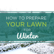 How-to -prepare-your-lake-norman-lawn-for-winter